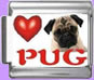 Pug love charm $4.00