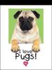 i love pugs magnetic note pad $3.99