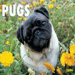 Just Pugs 2006 calendar $12.99